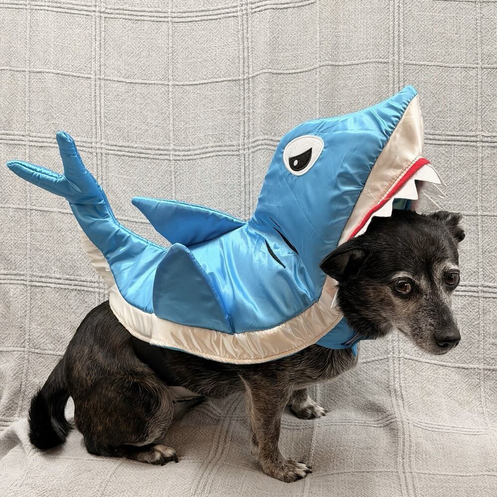 Shiny Blue SHARK Halloween Dog Costume Size Small Pet Dress Up Fin Teeth Funny